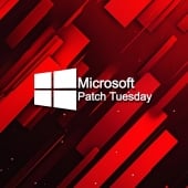 Microsoft November 2024 Patch Tuesday fixes 4 zero-days, 89 flaws Image