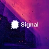 Signal