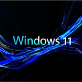 Windows 11