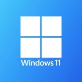 Windows 11