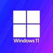 Windows 11