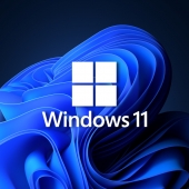 Windows 11