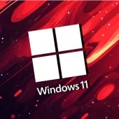 Windows 11