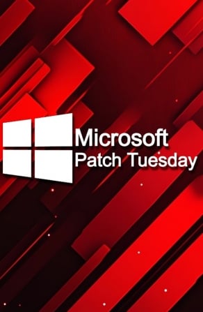 Microsoft November 2024 Patch Tuesday fixes 4 zero-days, 89 flaws