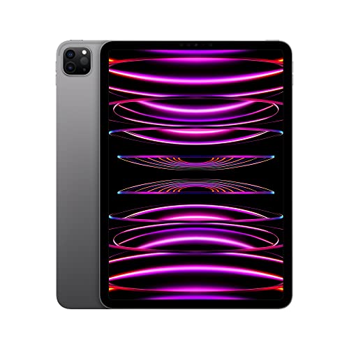 Apple 2022 iPad Pro 11 Pouces (Wi-FI, 128 Go) - Gris sidéral (4ᵉ