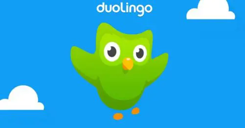 L'application Duolingo pour Android